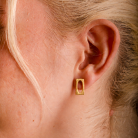 Earrings Frame